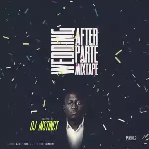 DJ Instinct - Wedding After Party Mixtape